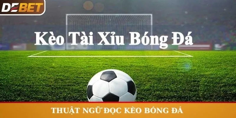 Một số thuật ngữ bạn nên biết